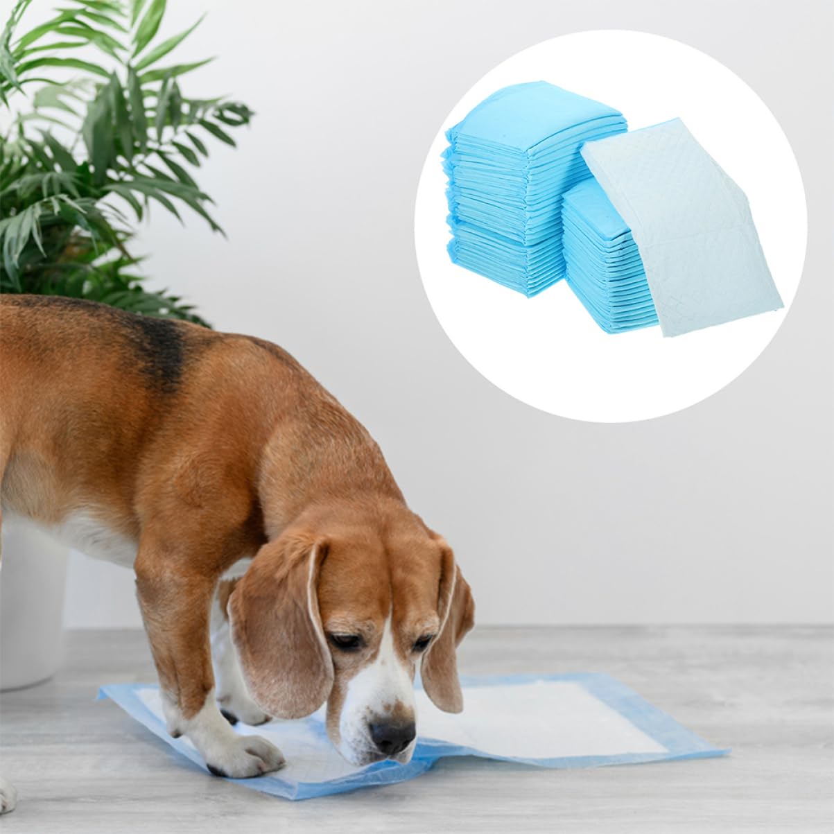 Happyyami 100pezzi Tappetini Assorbenti Per Cani e Gatti Di Traversine Impermeabili Per Addestramento Ultra Assorbenti e Facili Da Usare Perfetti Per Ambienti Domestici