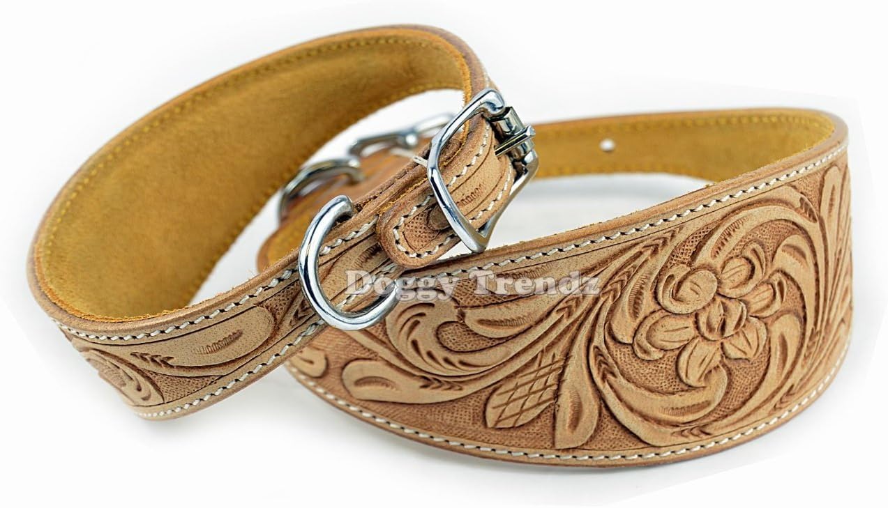 Avon Pet Products Luxury Hand Curved Natural Leather Whippet/Hound Dog Collar, 16-Inch