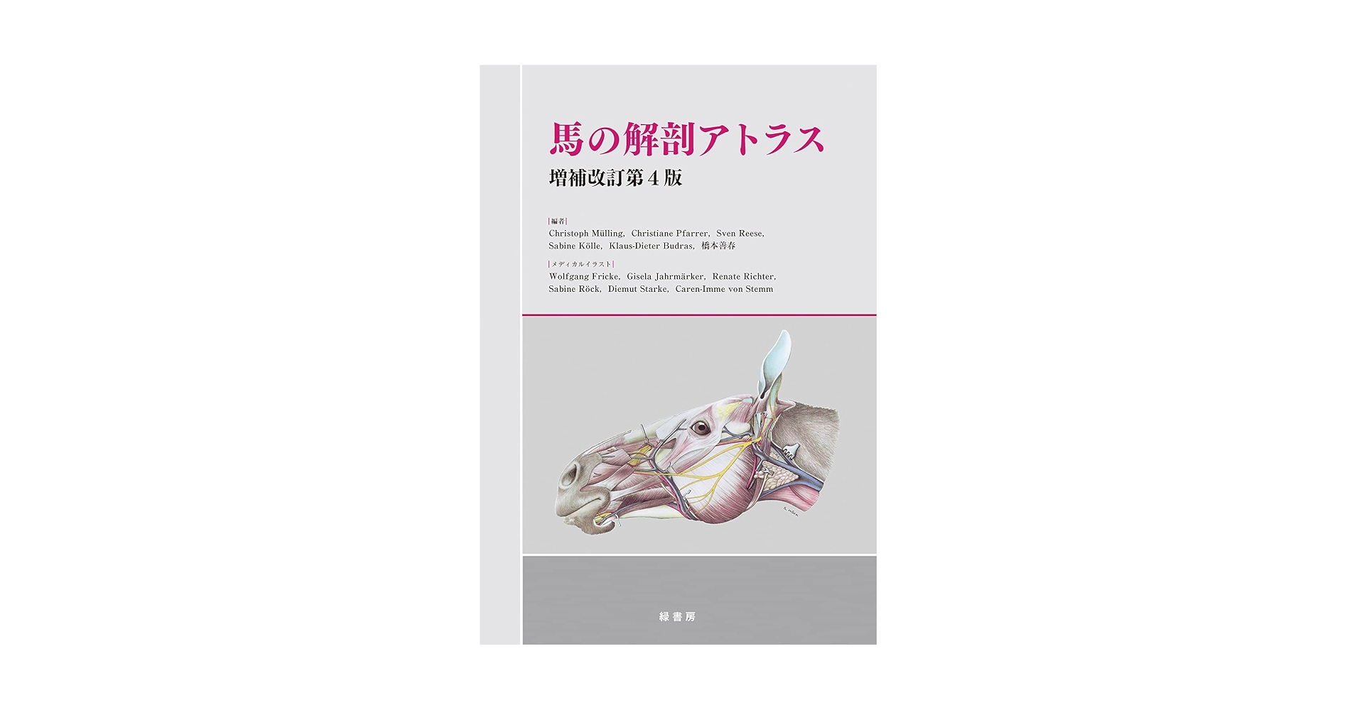 馬の解剖アトラス　増補改訂第4版 61r0I15uNCS.jpg