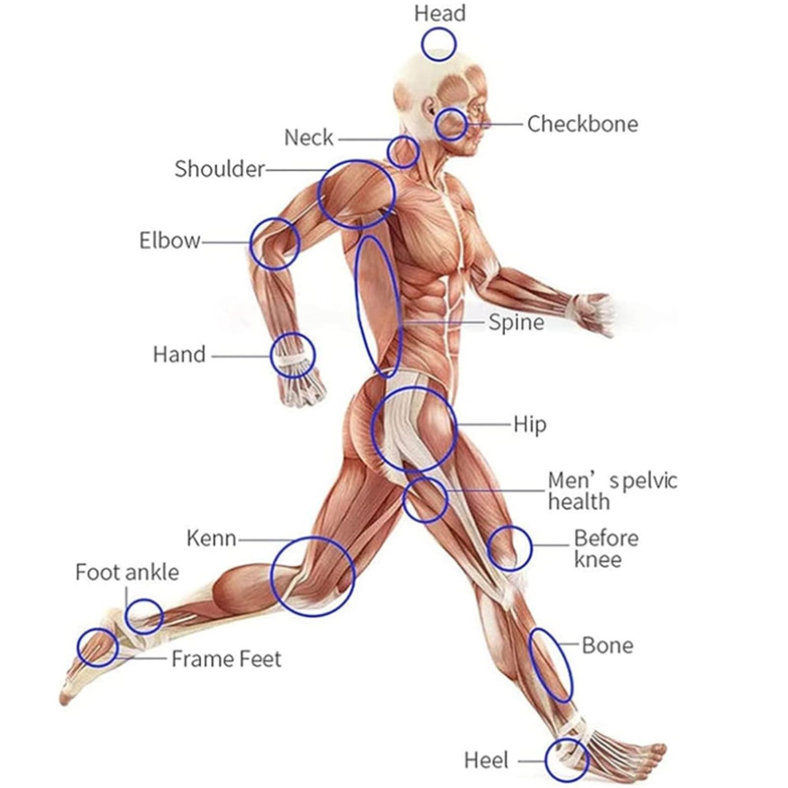 Macchina Per Terapia Ad Onde D'urto ED, Macchina Per Terapia Del Dolore Onde D'urto Extracorporee Pneumatica Per Tessuto Profondo Rilassamento Muscolare Massaggiatore Antidolorifico grey