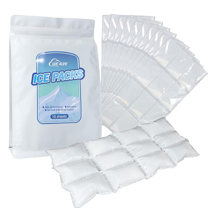 Buy Dry Ice for Shipping Frozen Food Dry Ice Pack for Shipping Dry