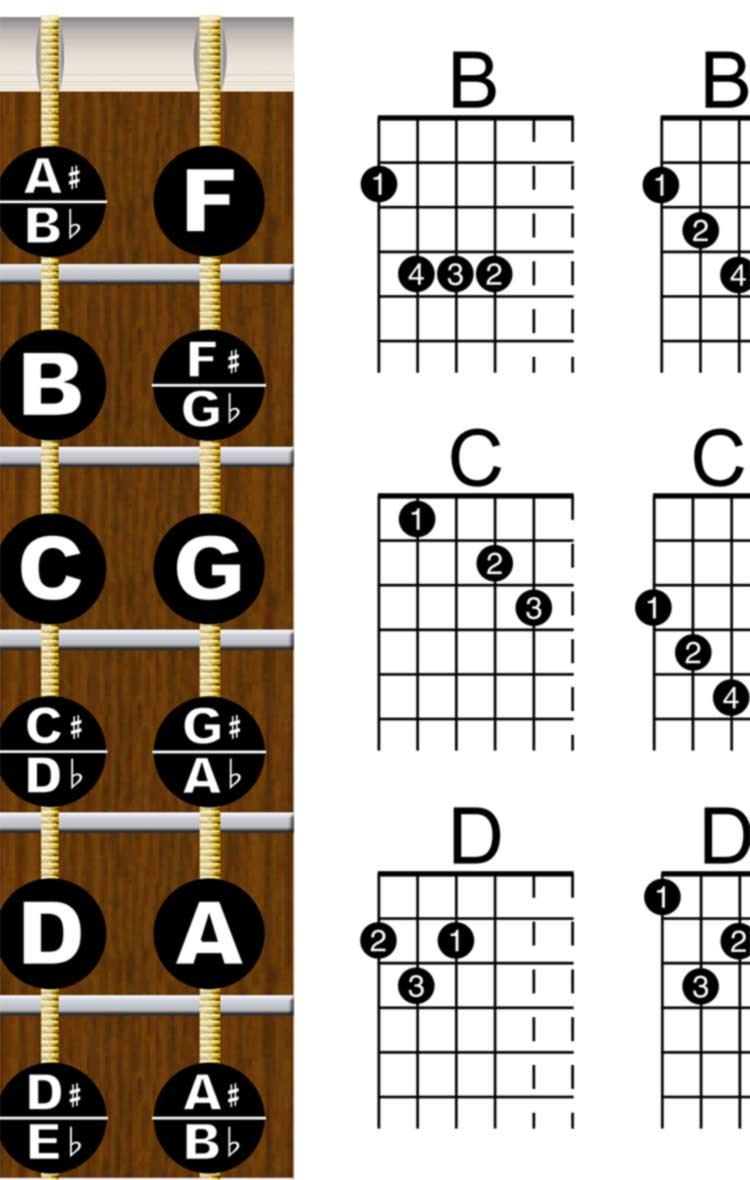Livre D'accords De Guitare En Cuir PU - Format Poche - 6 Cordes - Accordages Courants - Idéal Débutants Et Guitaristes En Déplacement