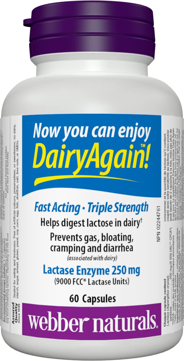 Webber Naturals Dairy Again Lactase Enzyme, 60 Capsules, Helps Digestion of Lactose in Milk and Dairy Products
