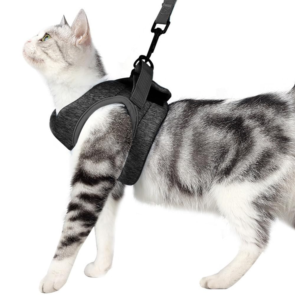 Pettorina Gatto Traspirante Antifuga Chiusura Velcro Regolabile