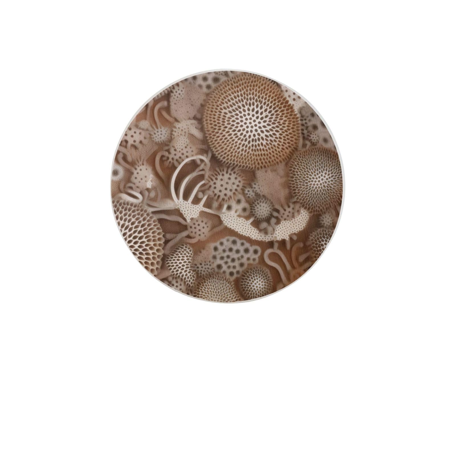 Petoskey Stone Absorbent Drink Coasters Diatomaceous Round Coaster 4 Inch Reusable Cup Coasters Set 4pc