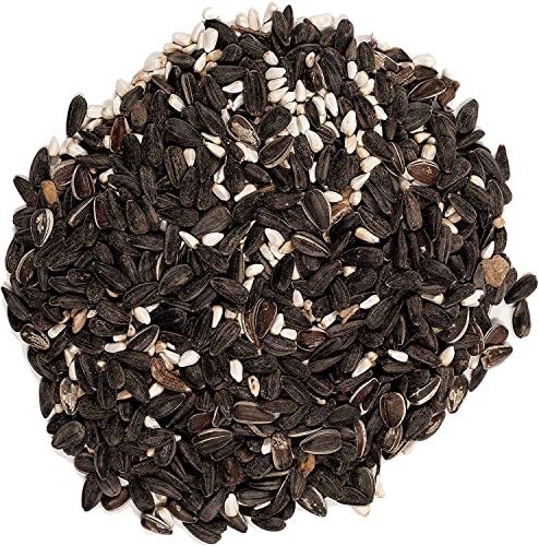 Wagner's 62032 Cardinal Blend Wild Bird Food, 6-Pound Bag, 2-Pack - Image 4