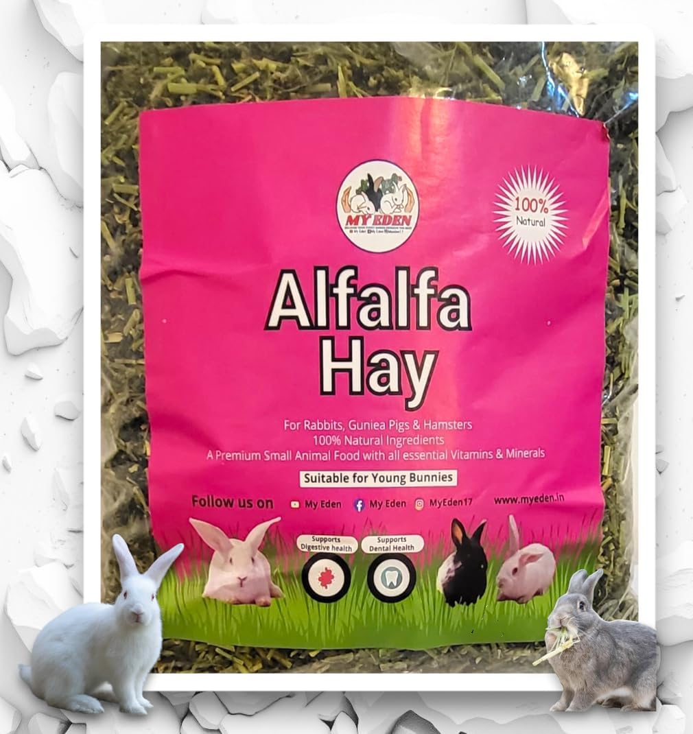 My Eden Alfalfa Hay, Best Food for Rabbits, Guinea Pig, Hamsters and Other Small Animals (950 Grams) - Protein and Fiber Rich Food (B0CCW1GYMZ) Amazon Price History, Amazon Price Tracker
