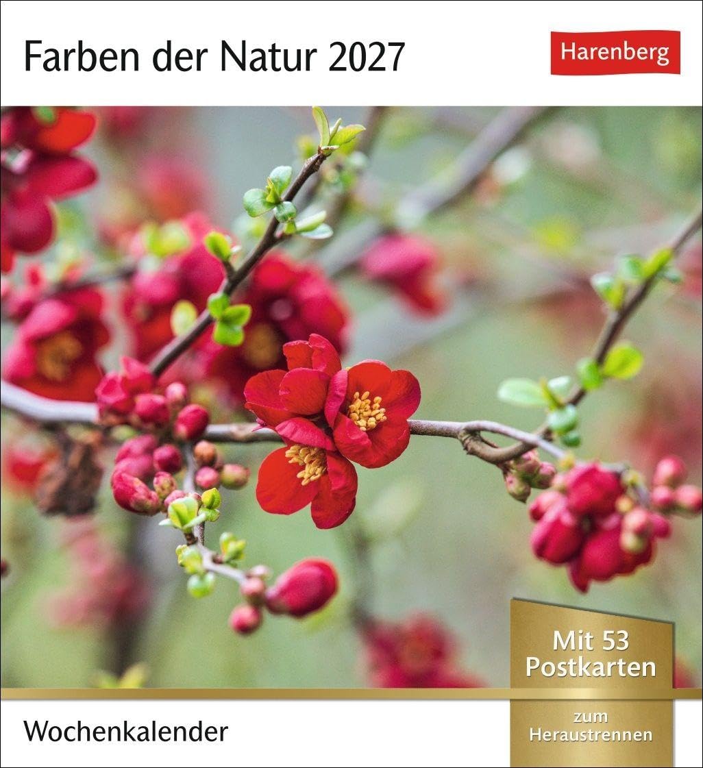 Farben der Natur Postkartenkalender 2027 - Wochenkalender mit 53 Postkarten: Farbenprächtige Naturaufnahmen in einem Fotokalender im Postkartenformat. Tischkalender zum Aufstellen mit 53 Postkarten