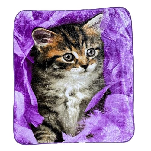 Rufino Díaz Manta Terciopelo Estampación Digital Gato (Lila - 130x160cm) - Otoño/Invierno - Tacto Extra Suave y Super calentita - para Usar en la Cama o en el sofá