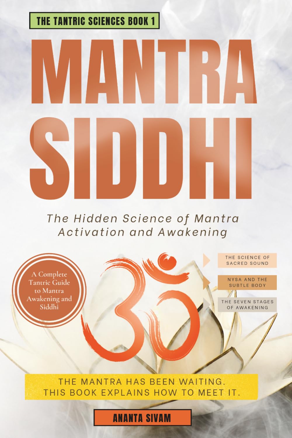Mantra Siddhi: The Hidden Science of Mantra Activation and Awakening (The Tantric Sciences)