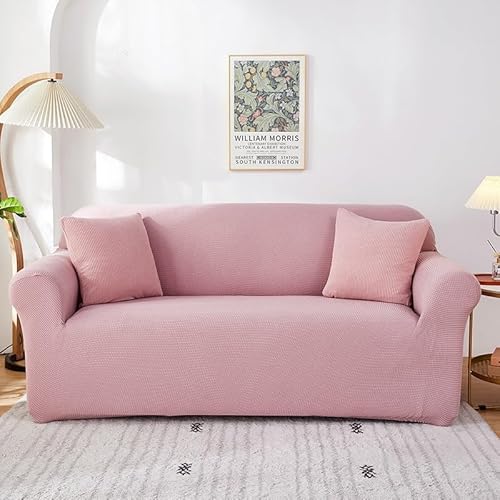 Xgb`xxbg\t@Jo[ 3l|\t@p 90`300cmΉ |GXe95% ~ @􂢉 _J[14F (ubVsN 90`140cm)