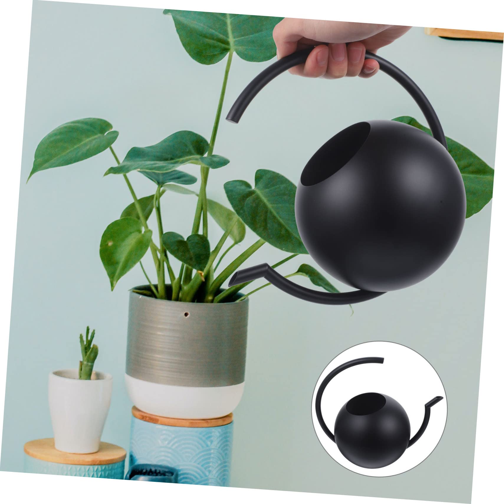 Acier Inoxydable Arrosoir 1 L Noir à Long Bec pour Plantes