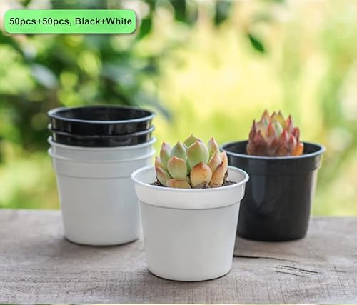 Miniatura 6 de Nore Macetas pequeñas de plástico de 2.5 pulgadas para plantas de cultivo de suculentas, macetas de propagación de plántulas de flores (50 negro +