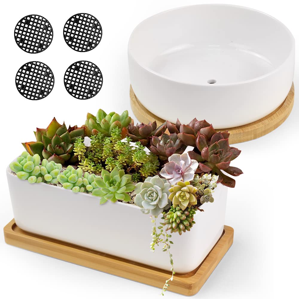 2 Pack White Ceramic Succulent Plant Pots Rectangular Flower Pot Classic Round Planter Small Cactus Container Mini Decorative Bonsai Pots with Drainage Hole & Bamboo Tray for Home Office Decor