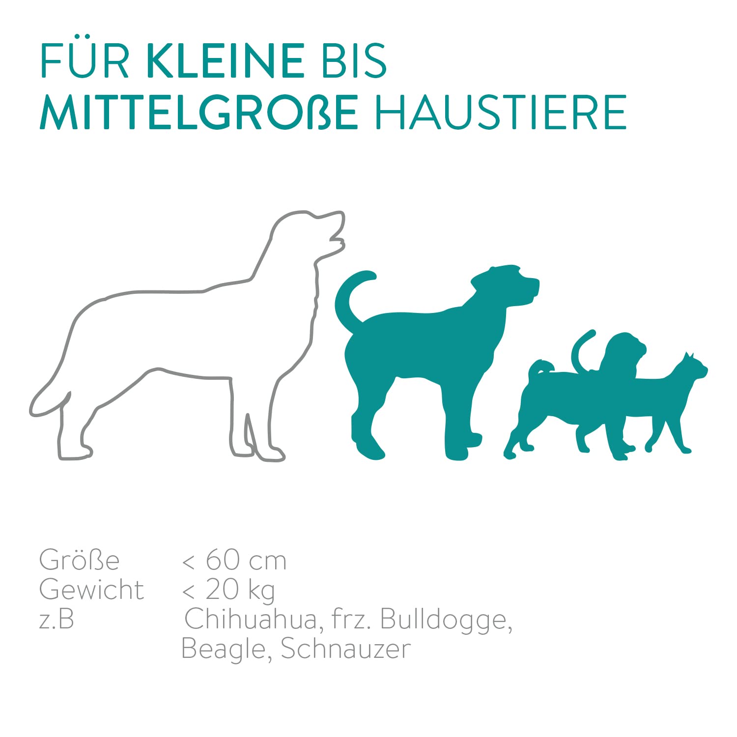 Navaris Automatischer Futterautomat Futterspender mit Timer - 6L Futternapf Automat mit Timer und akustischer Benachrichtigung - für Hund und Katze