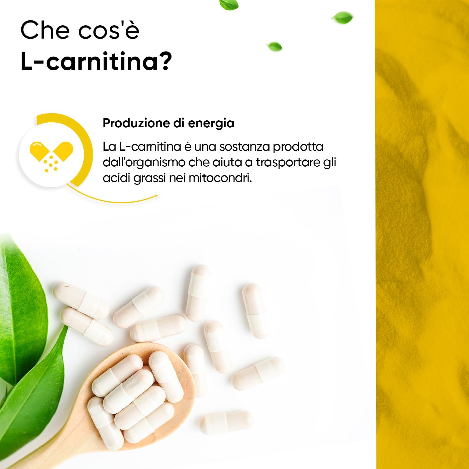 L-Carnitina 320 capsule 3000 mg a dose giornaliera scorta per 3 mesi portapillole incluso capsule ad alto dosaggio di L-carnitina 100% vegano testato in laboratorio