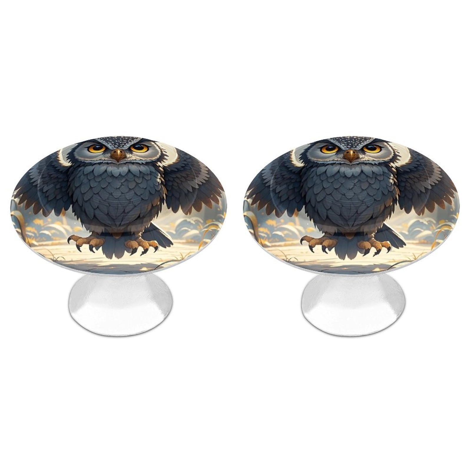 FekiLoot Round Cabinet Knob 2 Pack Kitchen Drawer Knobs Stainless Steel Round Drawer Pulls Modern Cabinet Hardware Anime Owl Drawer Hardware for Dresser Closet Door Knobs
