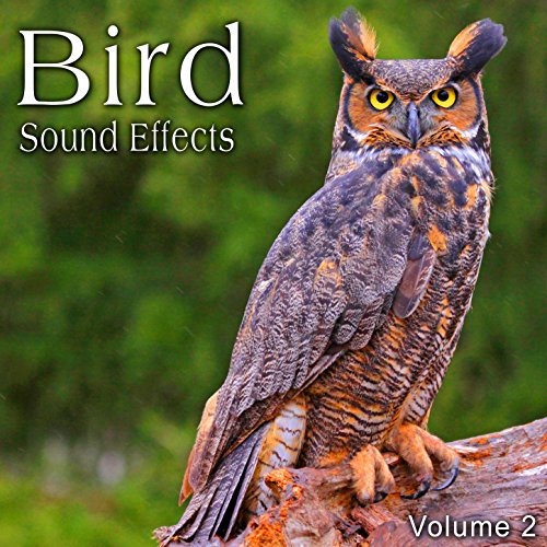 Amazon Music The Hollywood Edge Sound Effects LibraryのBird Sound