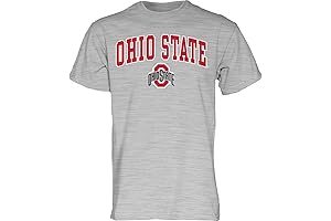 Blue 84 Men's Ohio State Buckeyes T-Shirt Gray Arching Over