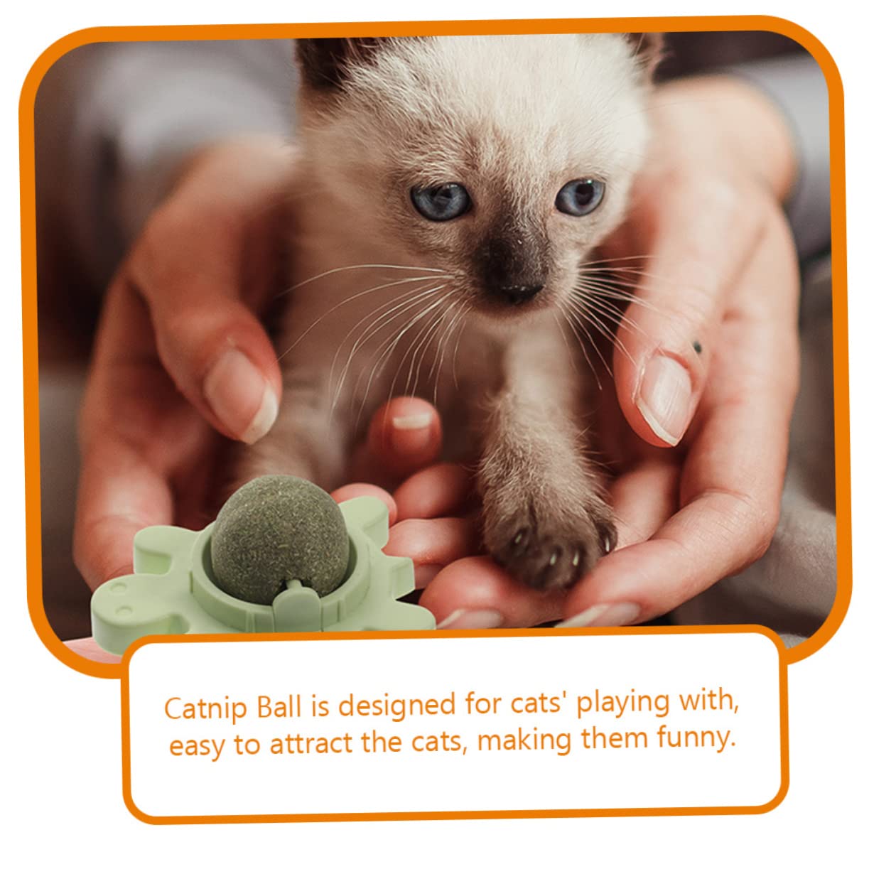 YARNOW Lot De 4 Jouets Interactifs Rotatifs Comestibles À Lécher pour Chats À La Menthe pour Chat pour Lintérieur pour Plantes