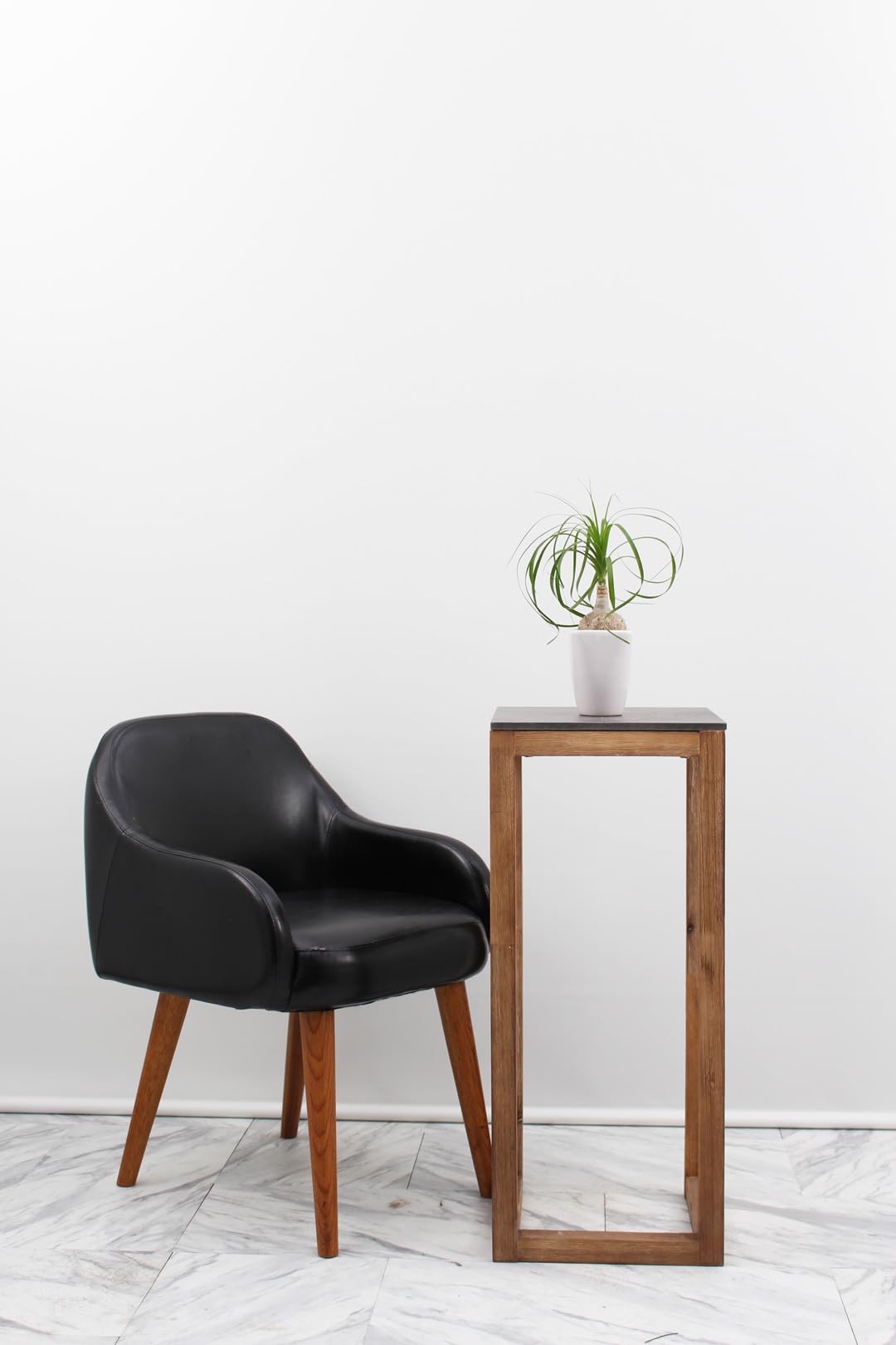 Amazon｜ノリナ ポニーテール 3号 陶器鉢/受け皿付 【観葉植物 本物