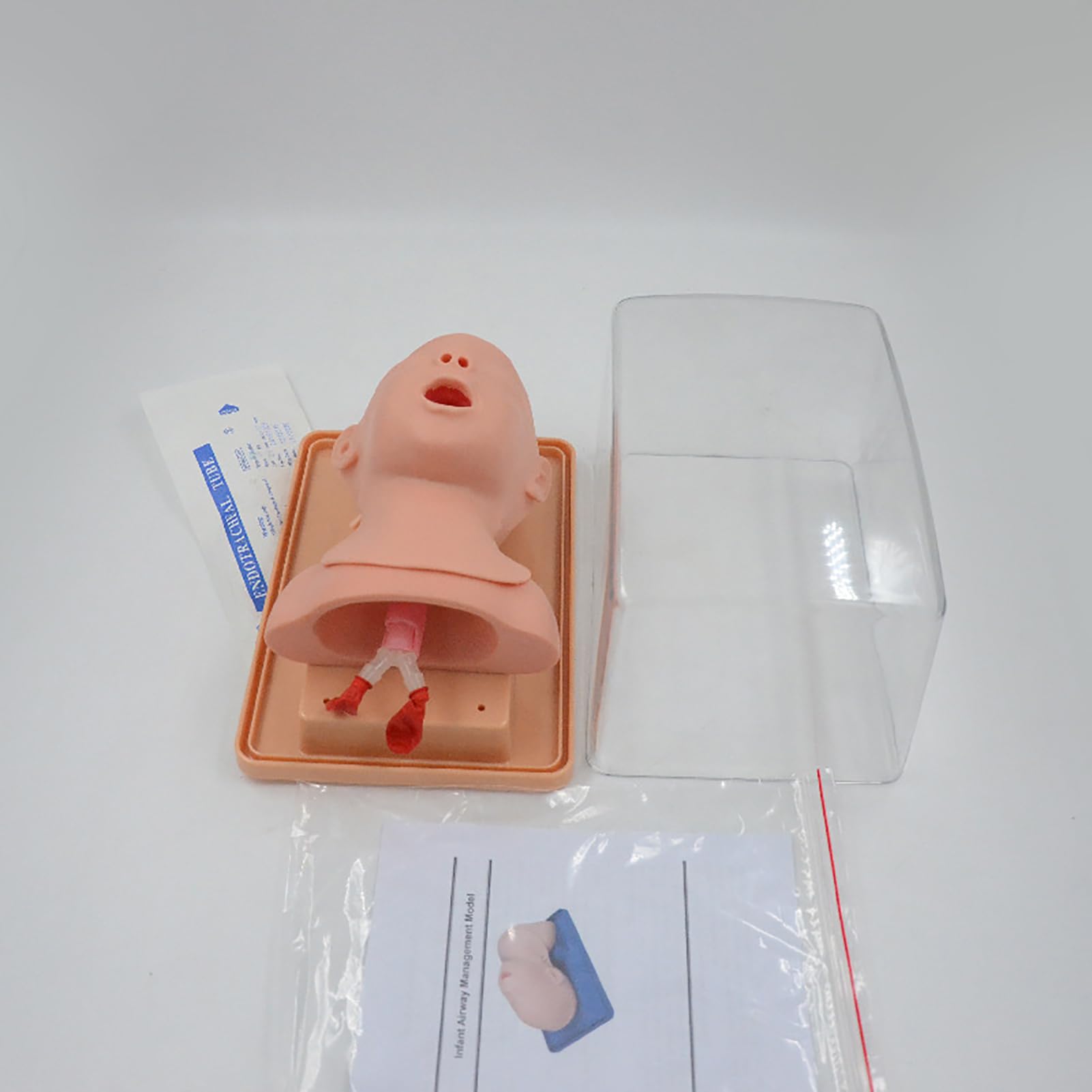 Manikin intubazione neonatale, Modello di addestramento intubazione tracheale pediatrico, simulatore Orale delle Vie aeree nasali