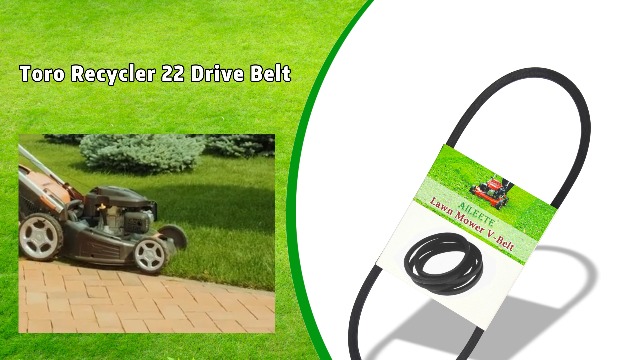 Amazon.com : AILEETE 117-1018 V-Belt 3/8