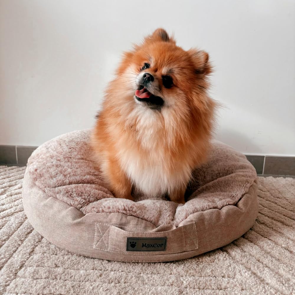 MaxCor Coussin Chien et Chat Rond à Mémoire de Forme Orthopédique - Petit Beige - Soulage et Préserve Les articulations - Réversible Face Hiver, Face été - Ne se déforme Pas et Lavable en Machine