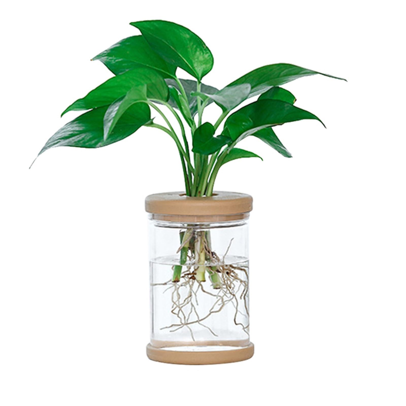 Amazon.com : Flower Pot Hydroponic Planters with Wooden Base and LidPlant  Pots Imitation Glass Straight SoillessDecorative Pots Home Decorations  Green Plant Cultivation House Plants, Succulents, Flowers (Color : Patio,  Lawn & Garden
