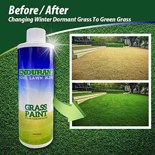 Endurant Home Lawn Blend Concentrated Colorant – Grass Paint Revitalizes Approximately 300-700 Sq Ft Of Dormant, Drought-Stricken Or Patchy Lawn (8 Oz) #TOP3