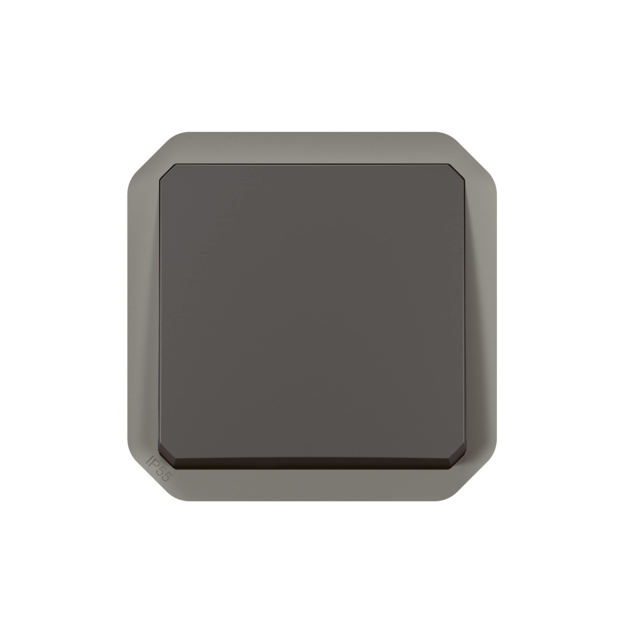 Legrand - Pulsador simple impermeable Plexo 10A para equipar una caja o placa soporte acabado antracita