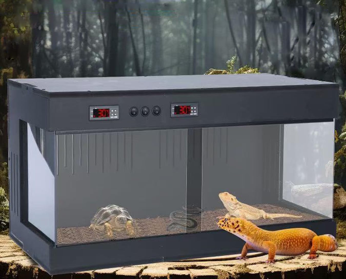 Amazon.com : PVC Reptile Terrarium, Reptile Tanks Enclosure for Ball ...