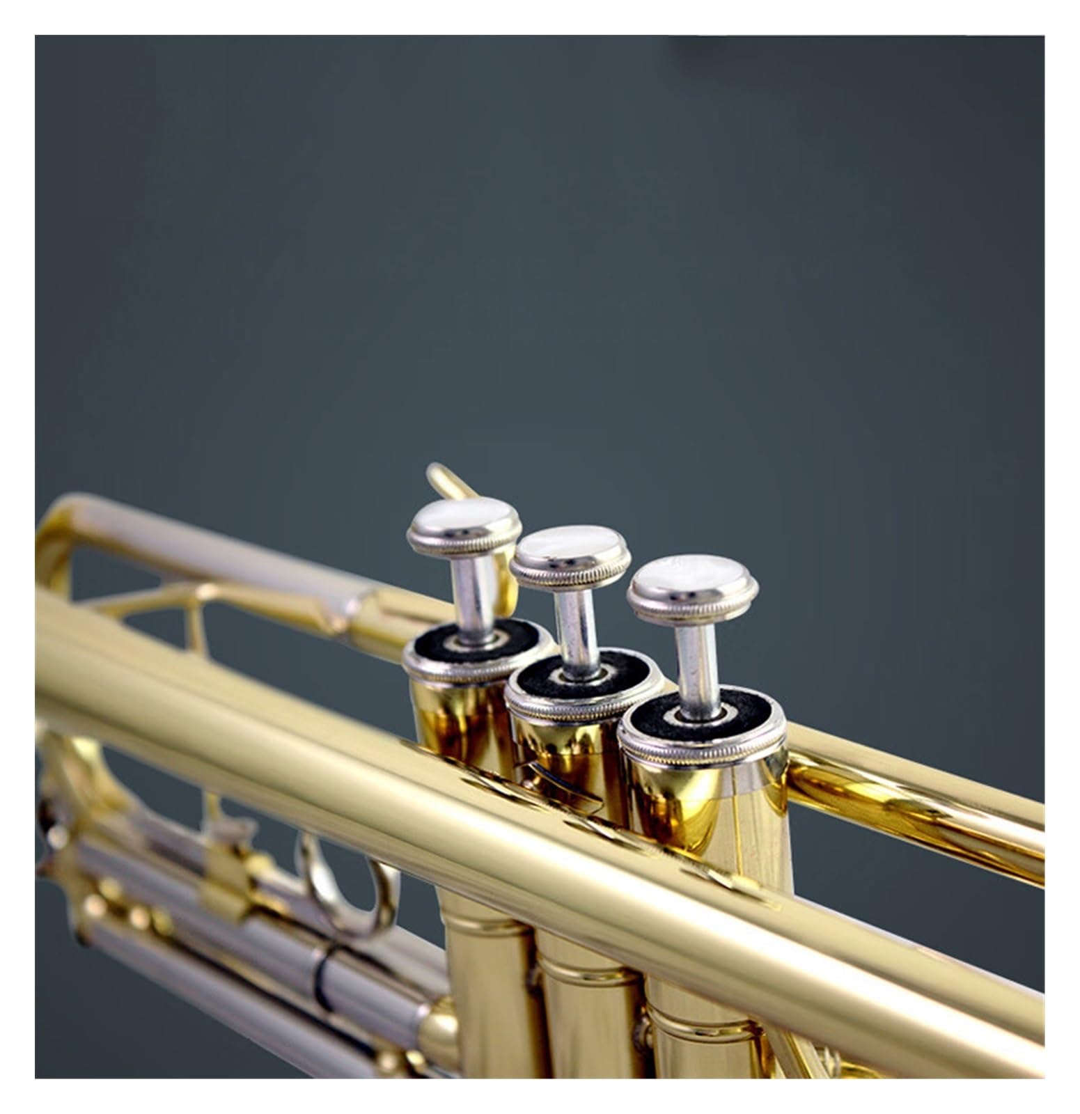 ユーフォ4バルブ ニッケルメッキ Amazon | イエローブラスニッケルメッキユーフォニアム 4