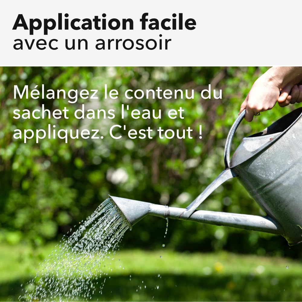 Nématodes pelouse et gazon - Traitement contre les larves de Tipules (vers gris ou Cousin) - 100% naturel. Traite les tâches jaunes du gazon (Pour 200m² (100 millions))