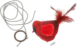 Didiseaon Brinquedos De Brinquedo Brinquedo Para Pendurar Pássaros Brinquedo Para Arranhar Brinquedo Engraçado Para Gatinho Brinquedo Interativo Para Gatos Brinquedo Para Gatos Brinquedo