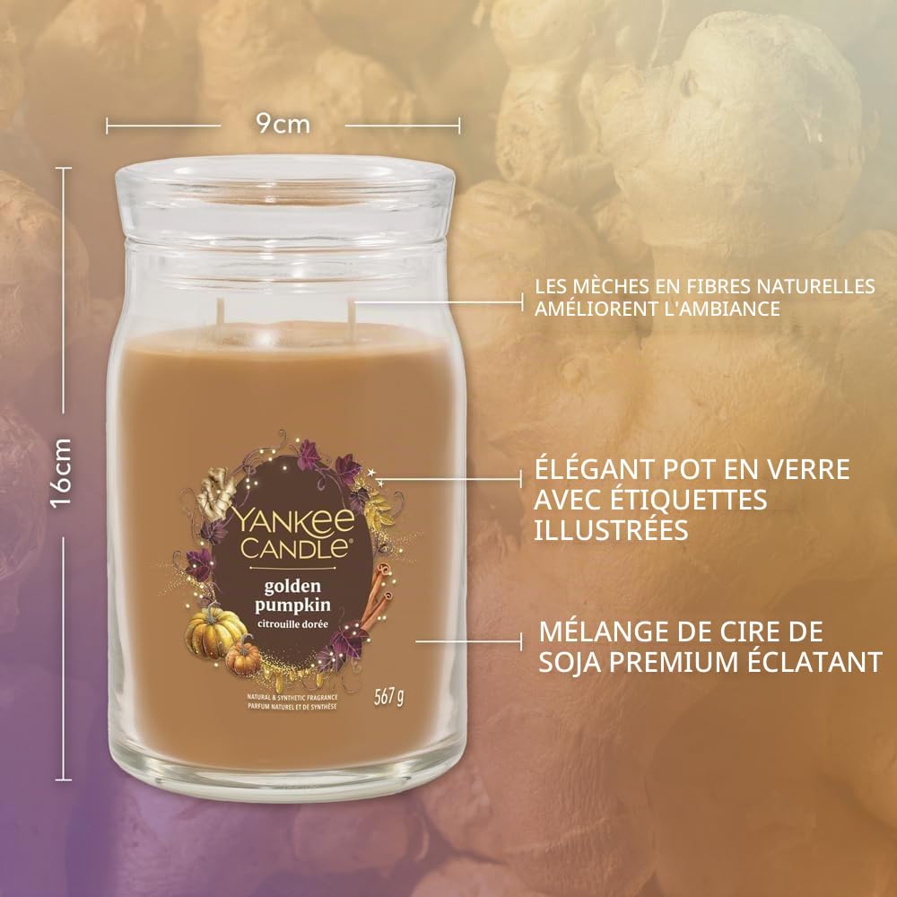 Yankee Candle Bougie parfumée dans un verre (grande) Golden Pumpkin - Bougie signature « Collection automne 2025 » - Durée de combustion : jusqu'à 90 heures