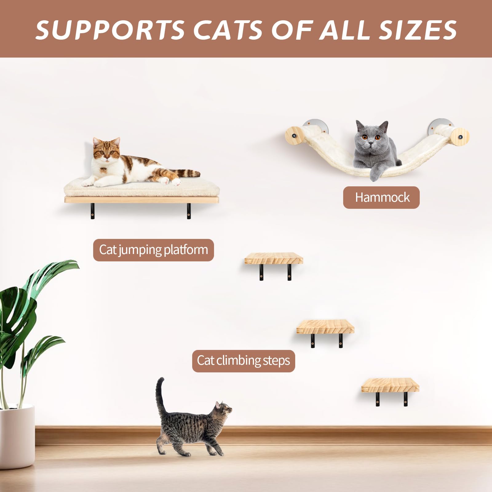 Katzen kletterwand Set mit Katzenbaum Hängematte,Katzen Wandelemente,Katzentreppe Wand,5-Teiliges Massivholz Katzenwandmöbel Set für Katze Catwalk