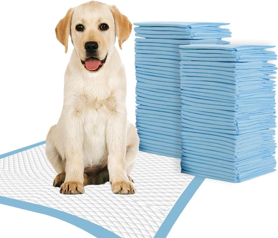 Puppy Pads Large Size Pack of 50 60 x 60 Super Absorbent Puppy Training Pads Anti Slip Dog training pads - No Leaking Quick Dry Dog Pads