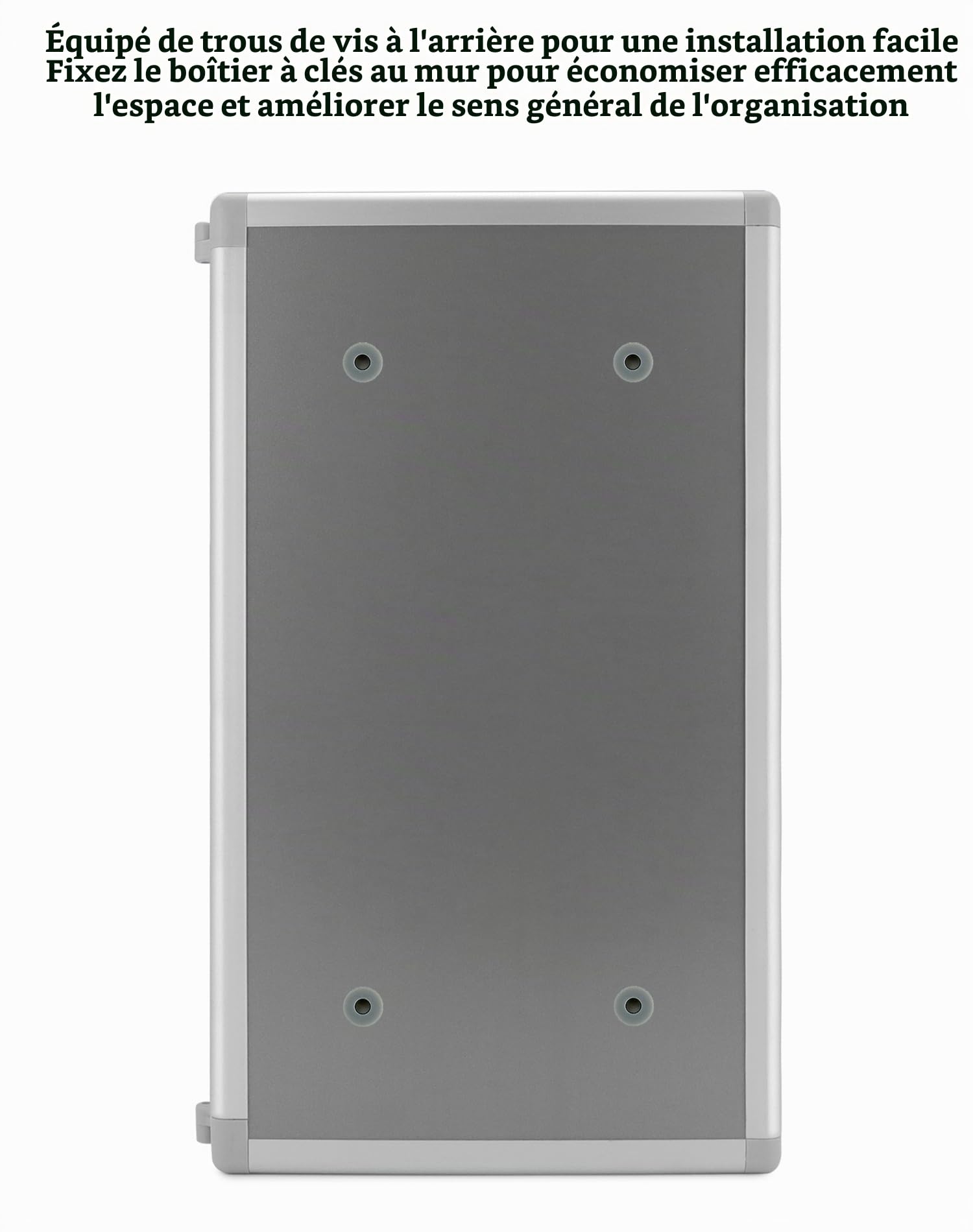 QWORK® Armoire à clés, boîte à clés avec 48 Crochets, Gris Clair, 264 * 60 * 435mm