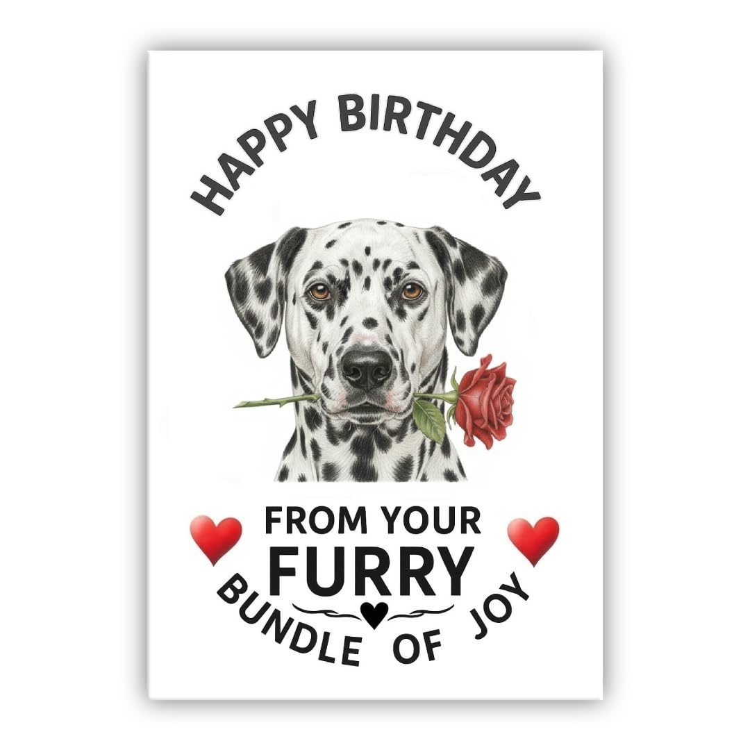 Birthday Card From the Dog – Multiple Breeds Available – Cute & Funny Pet Birthday Card – Dogs Lover Gift (• Dalmatian)
