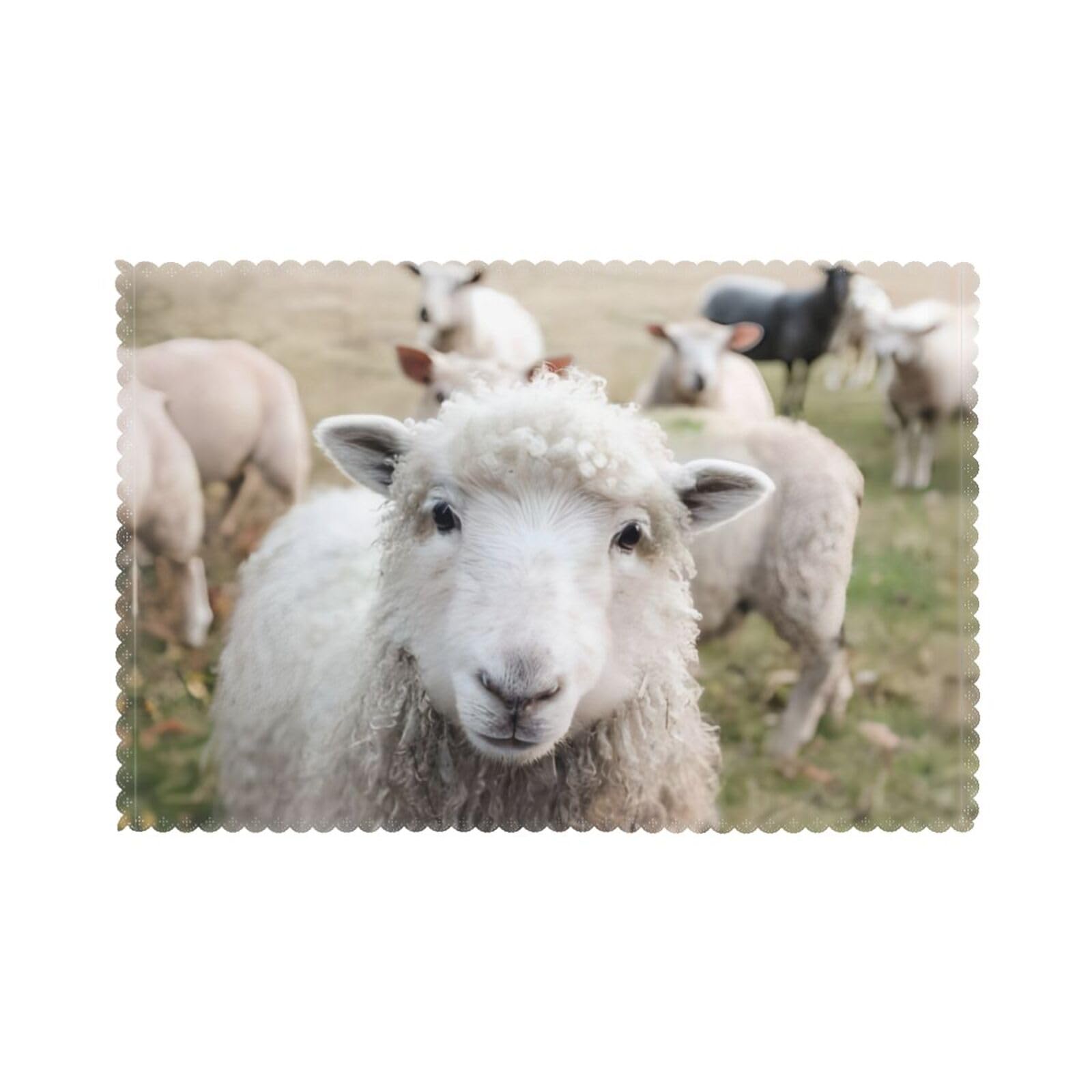 Cute Sheep Lamb Printed table mat set (6 pieces) - Aesthetic upgrade for family gatherings and hotel banquets