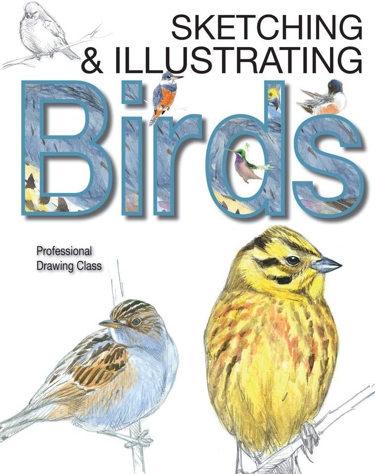 Sketching & Illustrating Birds Hardcover Art Guide
