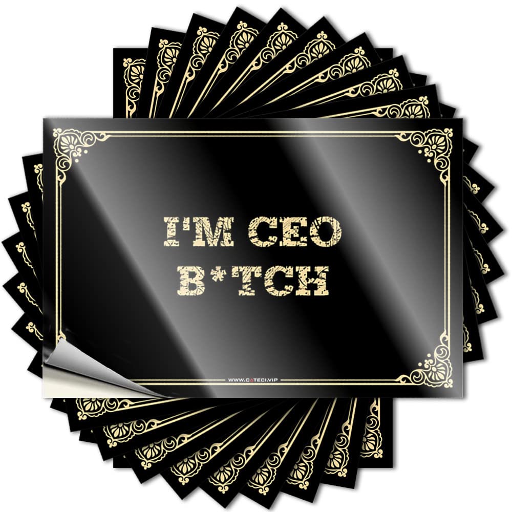 Fzfn Colour I'm Ceo, B*Tch Hard Accent - Beer Saying Self Adhesive Sticker(8X12cm)