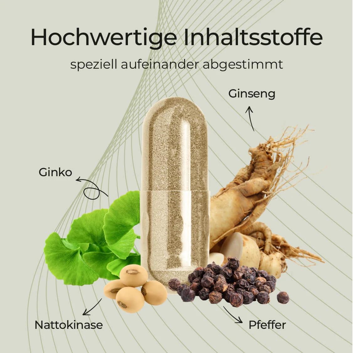 PEPOXIL zur Unterstützung kognitiver funktionen I 60 Stück Hochdosiert mit Nattokinase I fermentierte Sojabohnen, Ginkgo Biloba, Ginseng & Timut Pfeffer-Extrakt - Pflanzliche Rezeptur, PZN 19945625