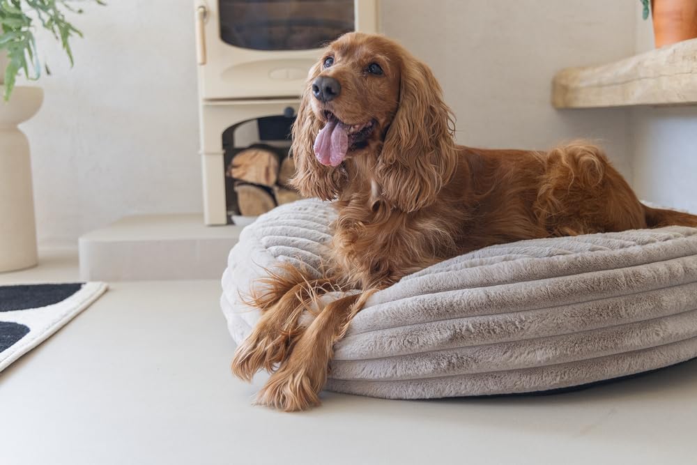 Designed by Lotte Reza, Hundekissen, Rund, Beige, 80x80x20 cm