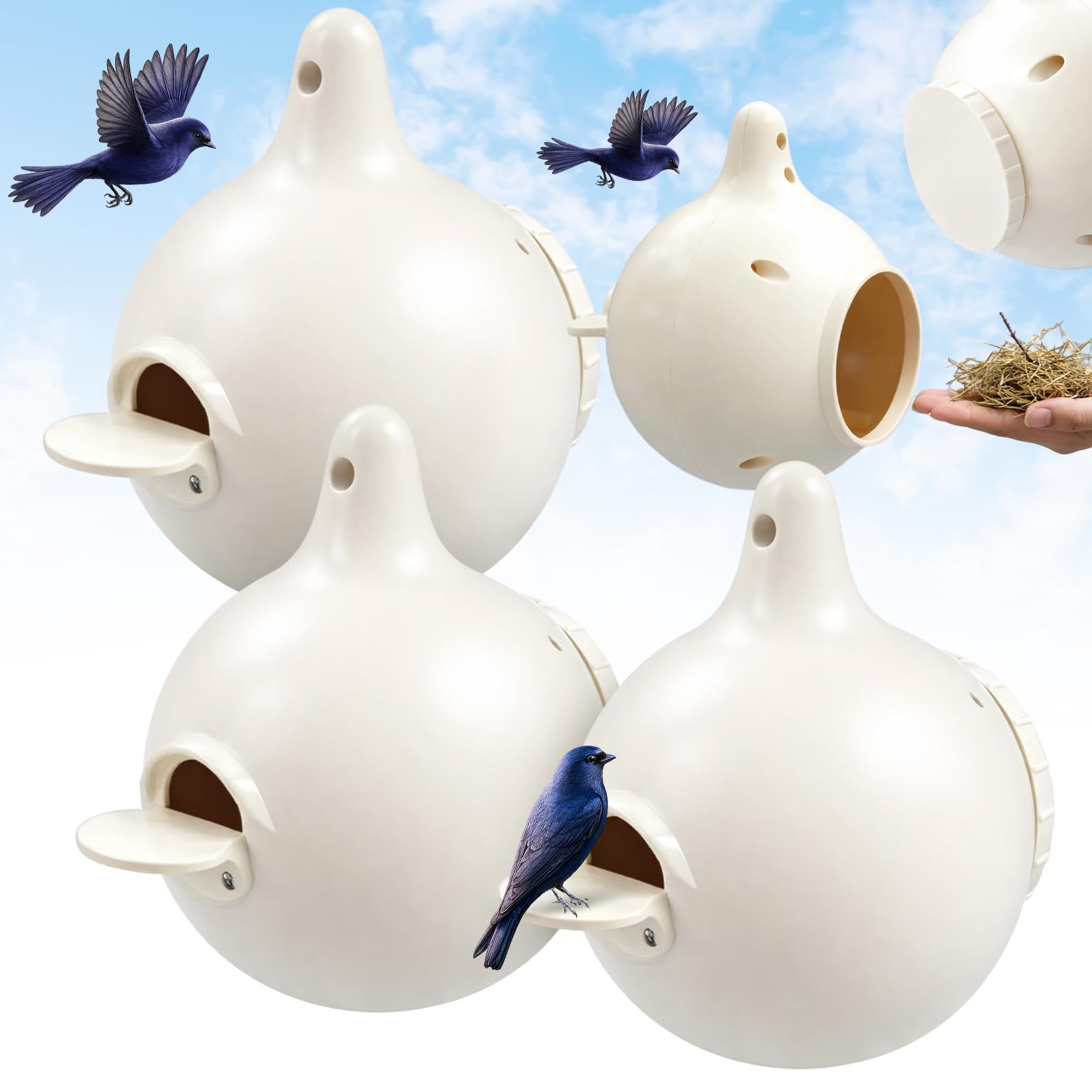 Amazon.com: Yaocom 8 Pack Purple Martin Gourds, Plastic Martin
