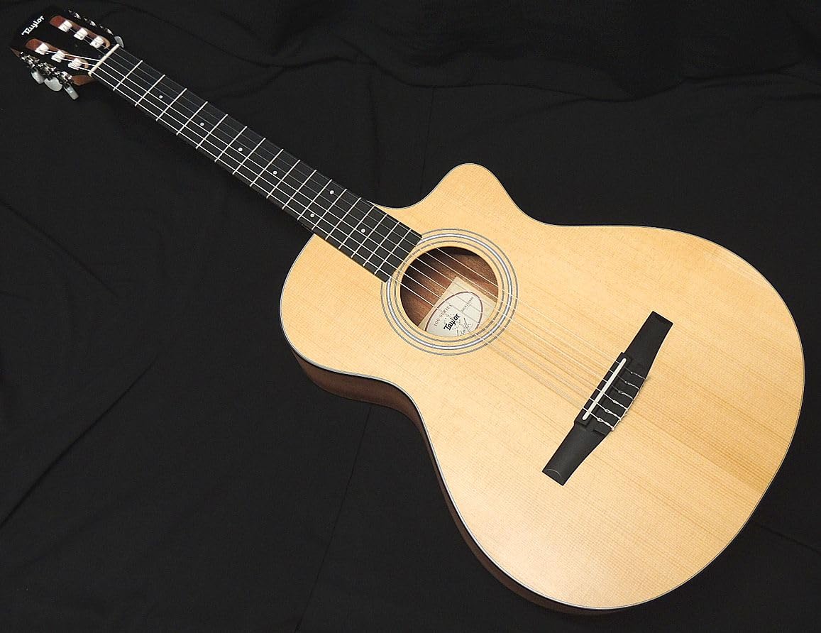 Amazon | Taylor 112ce-N Nylon テイラー エレガット ナイロン弦