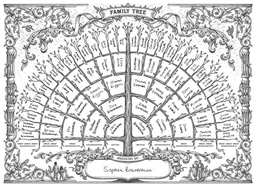 Palace Learning 3PK-FAMILY-TREE-V1 3 Pack - Family Tree Chart To Fill In- 6 Generation Genealogy Poster thumb #3