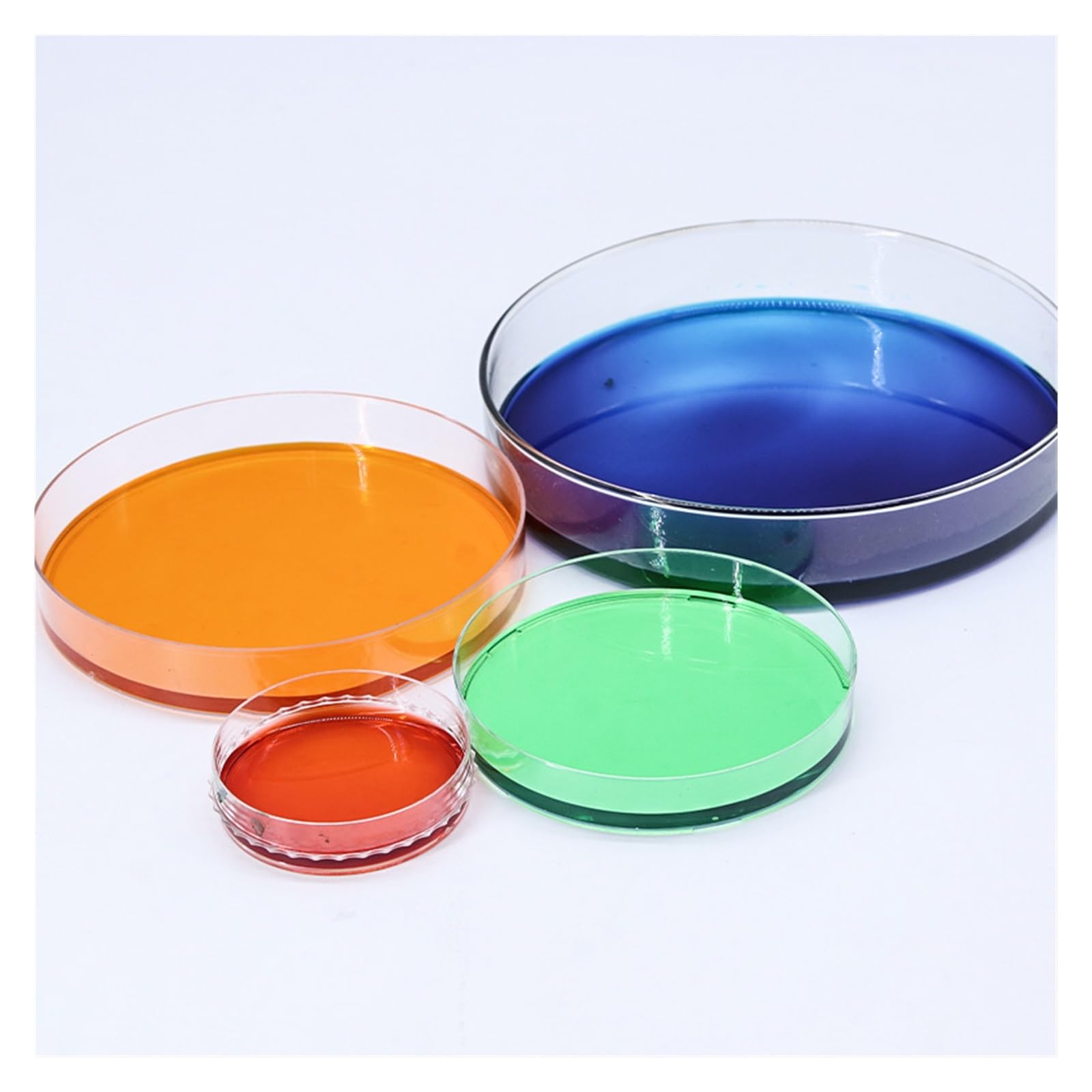 MENGKE 10 Stück 75 Mm Petrischale Aus Glas
