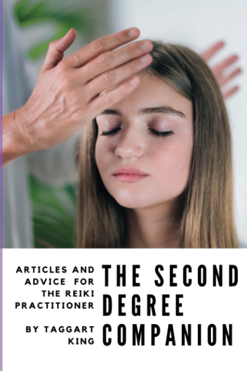 The Second Degree Companion: Articles and Advice for the Reiki Practitioner